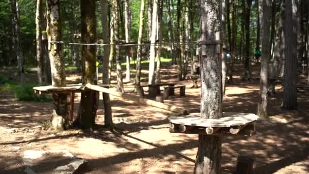 有圆形区域的冒险公园，树上有手杖和绳索 — 图库视频影像