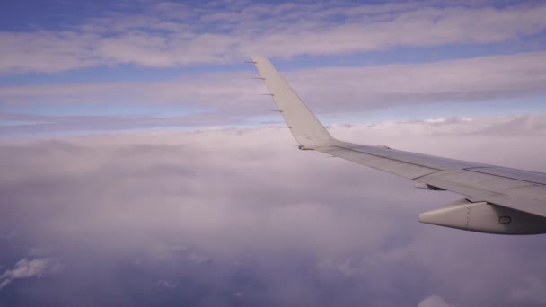 Ala dell'aereo sopra le nuvole rosa del tramonto nel cielo — Video Stock
