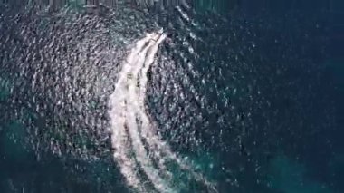 Turkuaz denizde seyreden bir motorlu teknenin drone görüntüsü