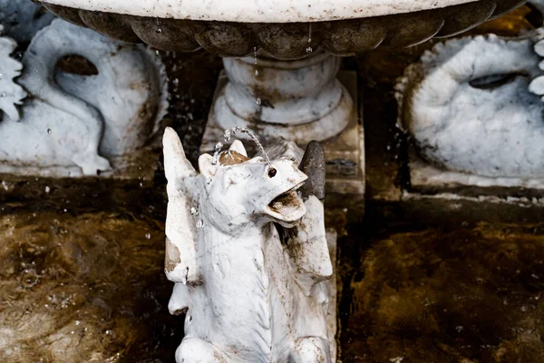 Taş bir kasenin yanında heykel heykeli. Villa Manastırı, İtalya