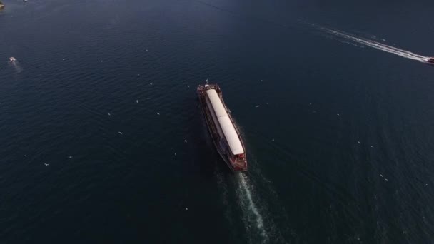 Racci krouží nad trajektem pro cestující plujícím podél Kotorského zálivu. Černá — Stock video