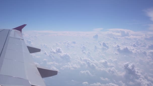 Ala de um avião voador sobre nuvens brancas — Vídeo de Stock