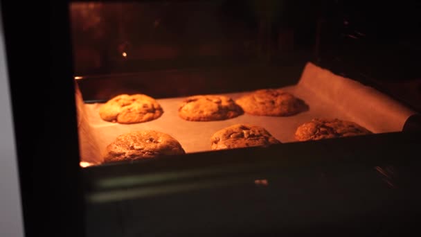 Biscoitos de chocolate americano, dourado e crescente quando cozido no forno — Vídeo de Stock