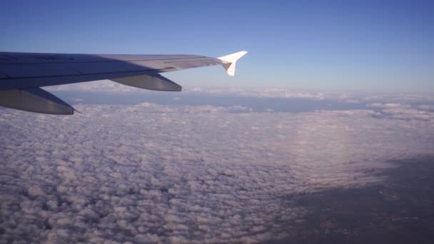 Ala de avião no céu acima das nuvens cumulus — Vídeo de Stock