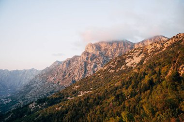 Lovcen Dağı sisle kaplı ormanla kaplı. Karadağ