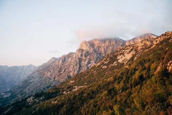 Lovcen Dağı sisle kaplı ormanla kaplı. Karadağ