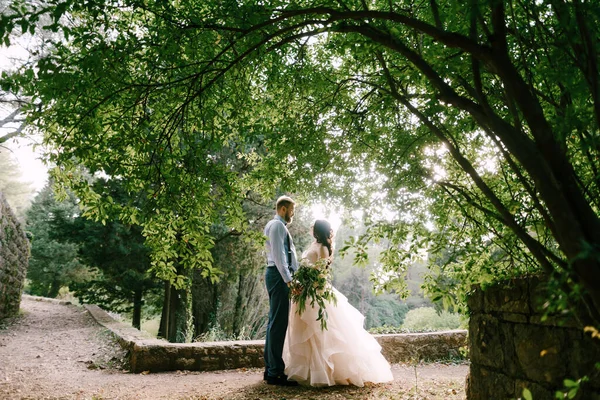 Наречений і наречений стоять тримаючи руки під пишним кущем в оливковому гаю — стокове фото