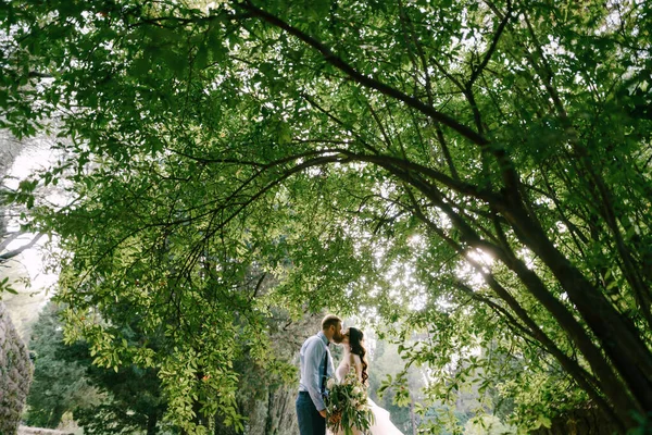 A noiva e o noivo se beijam sob um arbusto exuberante no olival — Fotografia de Stock