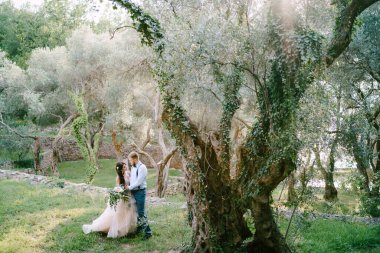 Gelin buketi ve damat zeytin koruluğunda yaşlı ve güzel bir ağacın yanında duruyor. 
