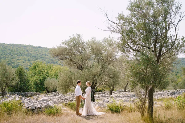 Groom e a noiva de pé de mãos dadas perto das pedras no parque — Fotografia de Stock