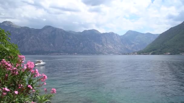 Blick von der Küste von Perast auf die Bucht von Kotor. Montenegro — Stockvideo