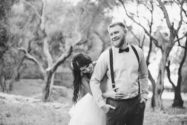 La mariée étreint le marié par derrière et rit. Mariée et marié dans une oliveraie, noir et blanc — Photo