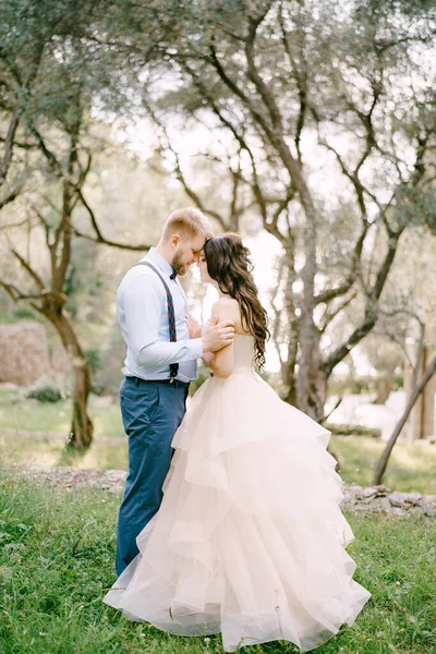 De bruid en bruidegom staan te knuffelen tussen de bomen in de olijfgaard — Stockfoto
