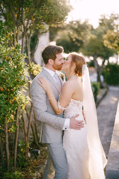 Menyasszony és vőlegény ölelés és csók közel a zöld bokrok a parkban — Stock Fotó