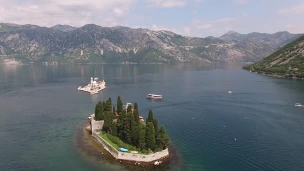 Fiskmåsar flyger över de höga cypressträden på St. George Island. Montenegro — Stockvideo