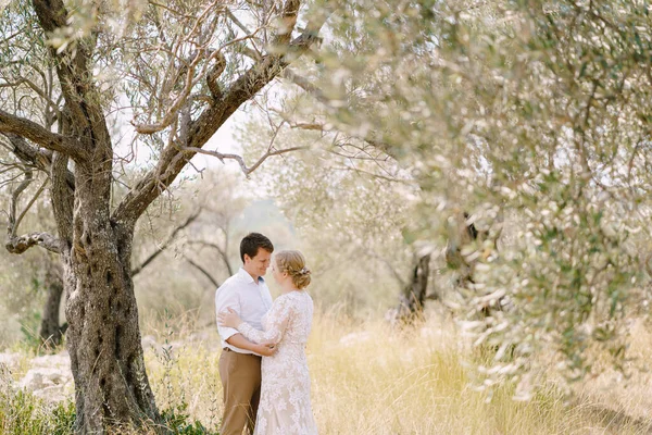 Abraço de noiva e noivo em pé em um olival — Fotografia de Stock