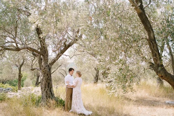 Жених и невеста обнимаются, стоя в оливковой роще на высокой сухой траве — стоковое фото