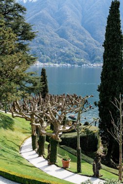 Como Gölü 'nün arka planına karşı Villa Balbianello' daki uçak ağacı sokağı. İtalya