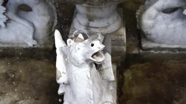 在喷泉里骑着马的雕像。意大利Villa Monastero — 图库视频影像