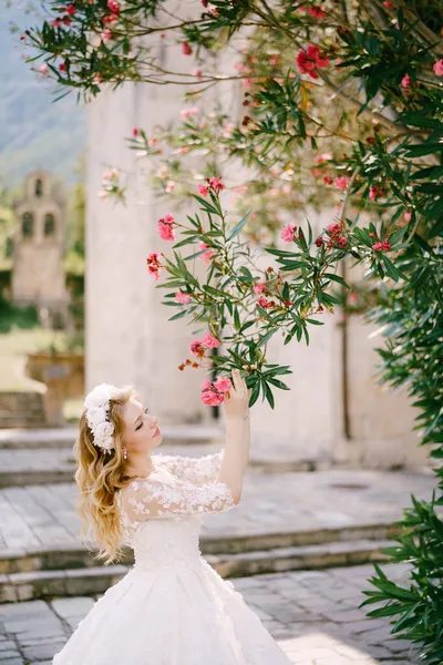 The in wreath bride stands under a blooming oleander near the old church and touching it — Stock Photo, Image