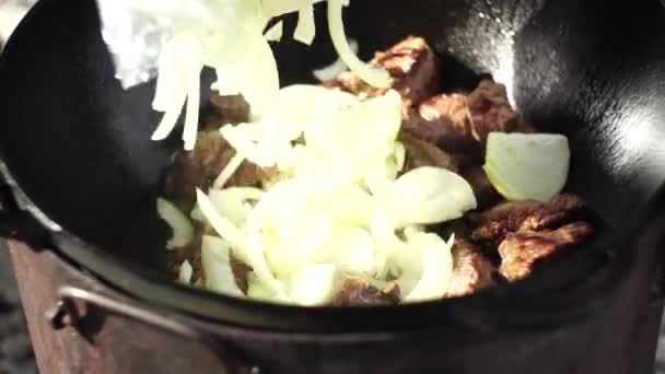 在肉中加入洋葱圈，放在锅中的乌兹别克皮面包中 — 图库视频影像