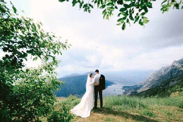 在科托尔湾全景的背景下，新娘和新郎拥抱着洛夫森山 — 图库照片