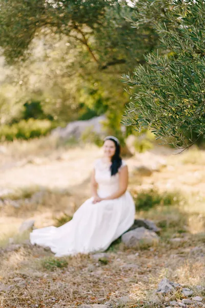 Bruid in een witte jurk zit onder een olijfboom — Stockfoto