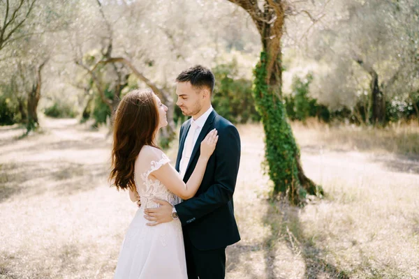 Brudgummen omfamnar bruden i olivlundarna. Porträtt — Stockfoto
