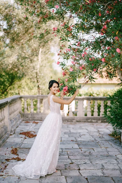 A menyasszony egy virágzó oleander alatt áll a régi templom mellett, és megérinti. — Stock Fotó