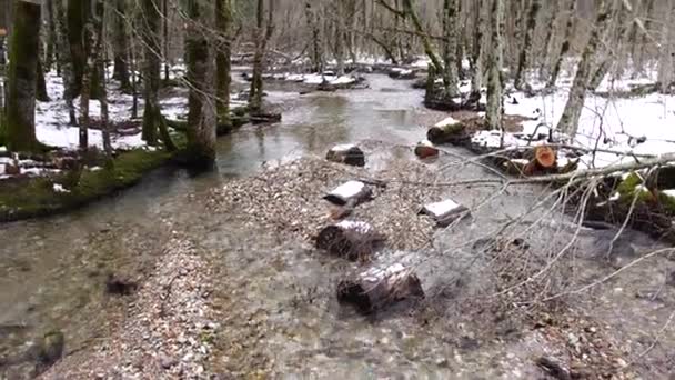 Река протекает между деревьями в Биоградском национальном парке — стоковое видео