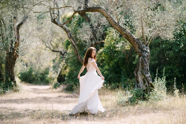 Bruid houdt de zoom van de trouwjurk in haar handen in de olijfgaard — Stockfoto