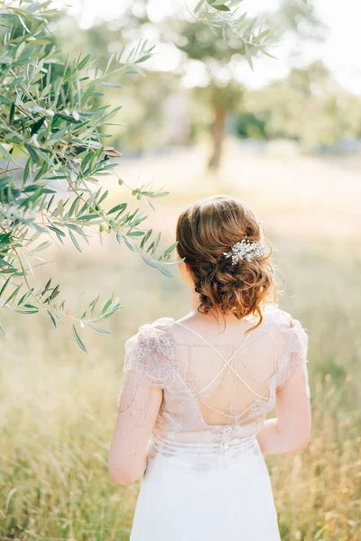 Bruid staat op het gazon in de buurt van de olijfboom. Achteraanzicht — Stockfoto