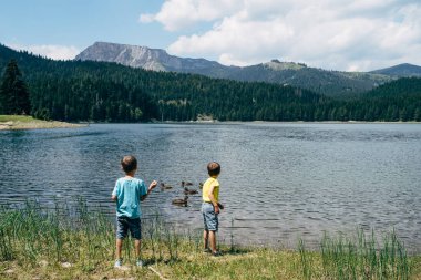 Çocuklar kıyıda durur ve körfezdeki ördekleri besler.