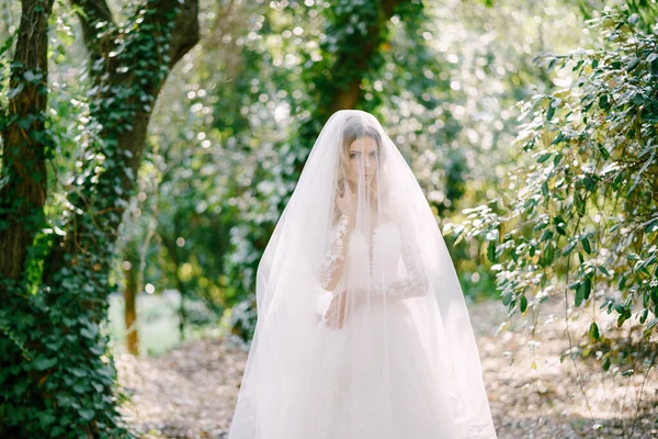 Panna młoda w białej koronkowej sukience, pokryta welonem, stoi wśród drzew pokrytych bluszczem — Zdjęcie stockowe