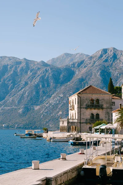 La gaviota vuela sobre el muelle de Perast. Montenegro — Foto de Stock