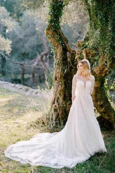 Nevěsta v bílých šatech stojí u břečťanem pokrytého stromu v parku — Stock fotografie