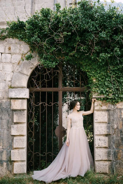 Noiva fica no portão forjado em uma cerca de pedra, entrelaçado com hera — Fotografia de Stock