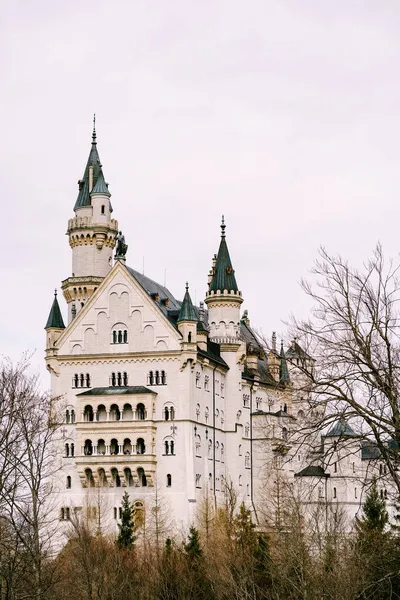 Schloss Neuschwanstein zwischen Bäumen. Deutschland — Stockfoto