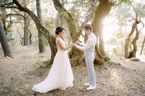 그 룸은 올리브 숲 의나무들 사이에 있는 신부들의 손가락에 결혼반지를 끼우고 있다 — 스톡 사진