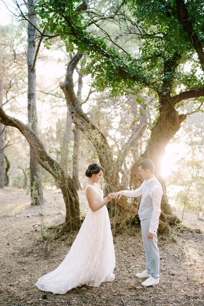 Noiva põe anel de casamento em noivos dedo entre árvores em bosque de azeitona — Fotografia de Stock