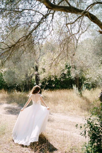 Mariée se tient dans une oliveraie tenant l'ourlet de sa robe avec ses mains. Vue arrière — Photo