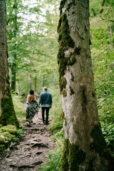 Mujer y hombre caminan por el sendero entre los árboles del parque. Vista trasera —  Fotos de Stock