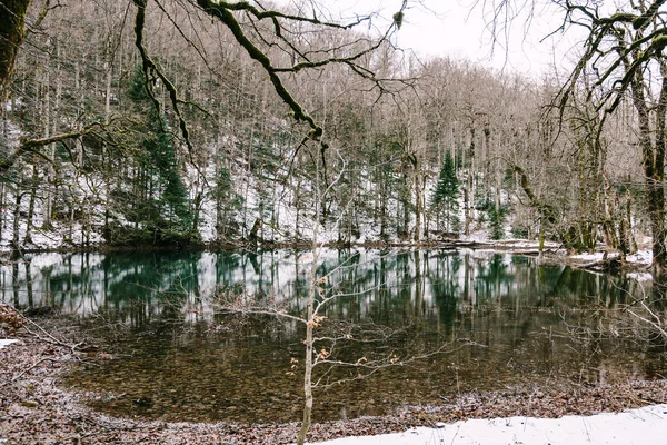 Ліс біля озера з чистою водою. Biogradska Gora, Montenegro — стокове фото