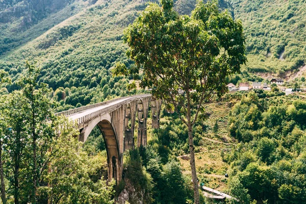 Pittoreska Djurdjevic Bridge bland grönska. Montenegro — Stockfoto