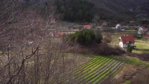 Dorp met velden en bomen in de uitlopers van Montenegro — Stockvideo