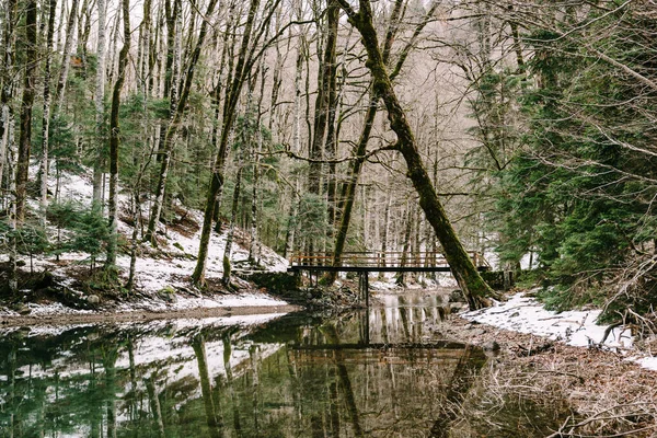 Ponte pedonal com corrimãos sobre o lago no parque Biogradska Gora. Montenegro — Fotografia de Stock