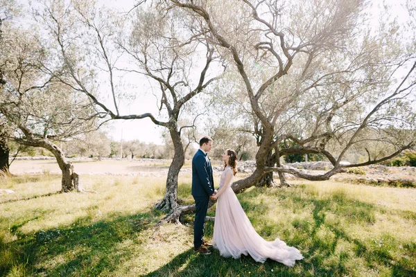 A vőlegény és a menyasszony kéz a kézben állnak egy zöld parkban. — Stock Fotó