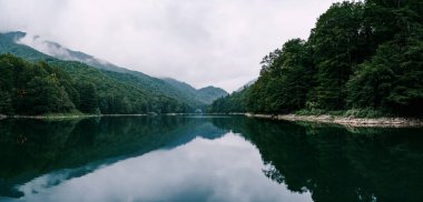 Biogradska Gora parkında yeşil bir ormanla çevrili bir göl. Karadağ