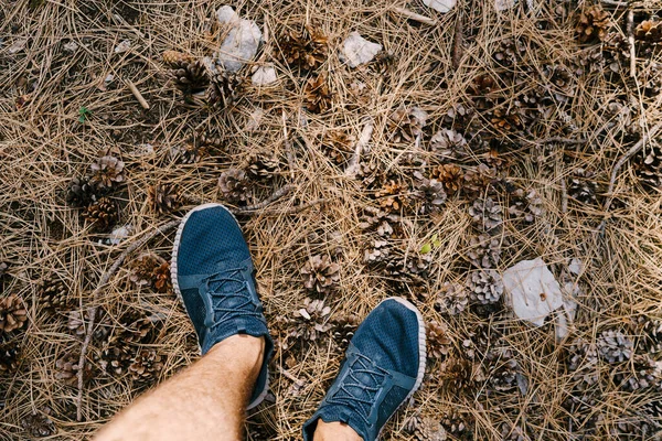 Male feet in sneakers on fir needles among fir cones. Close-up — Stock Photo, Image