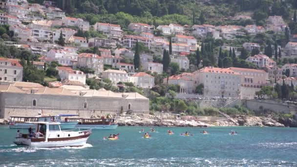 Моторний човен пропливає повз людей, які плавають в морі на фоні Дубровника. Хорватія — стокове відео